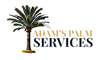 Adam's Palm Services